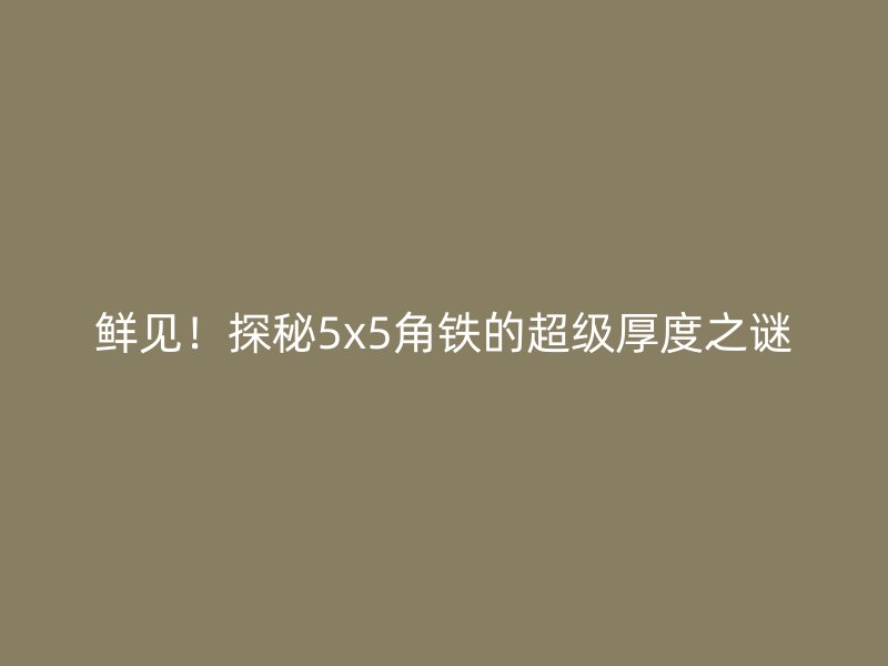 鮮見！探秘5x5角鐵的超級厚度之謎