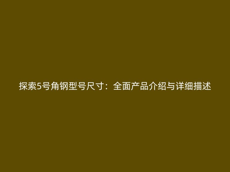 探索5號角鋼型號尺寸：全面產品介紹與詳細描述