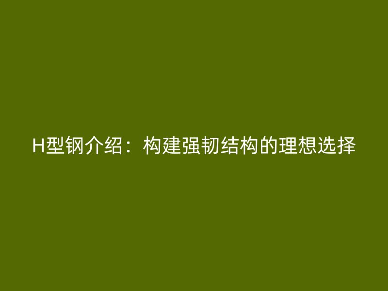 H型鋼介紹：構建強韌結構的理想選擇