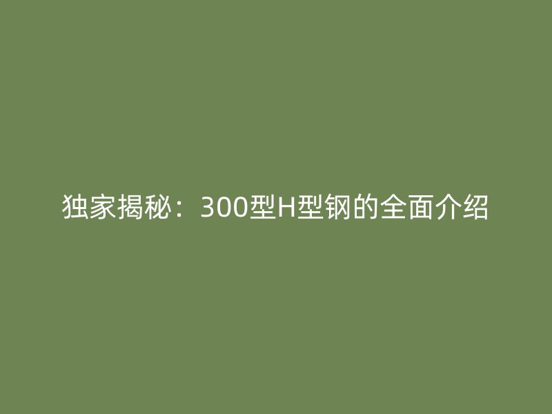 獨家揭秘：300型H型鋼的全面介紹