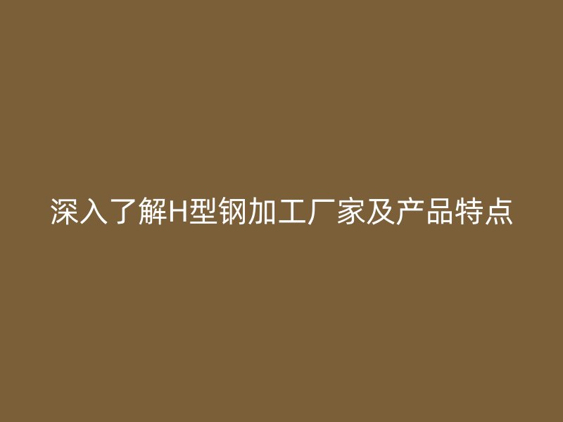 深入了解H型鋼加工廠家及產品特點