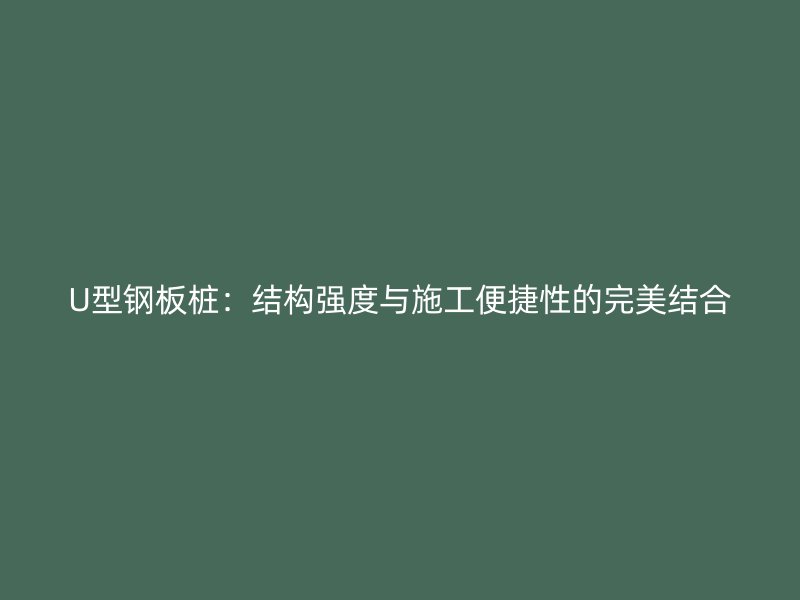 U型鋼板樁：結構強度與施工便捷性的完美結合