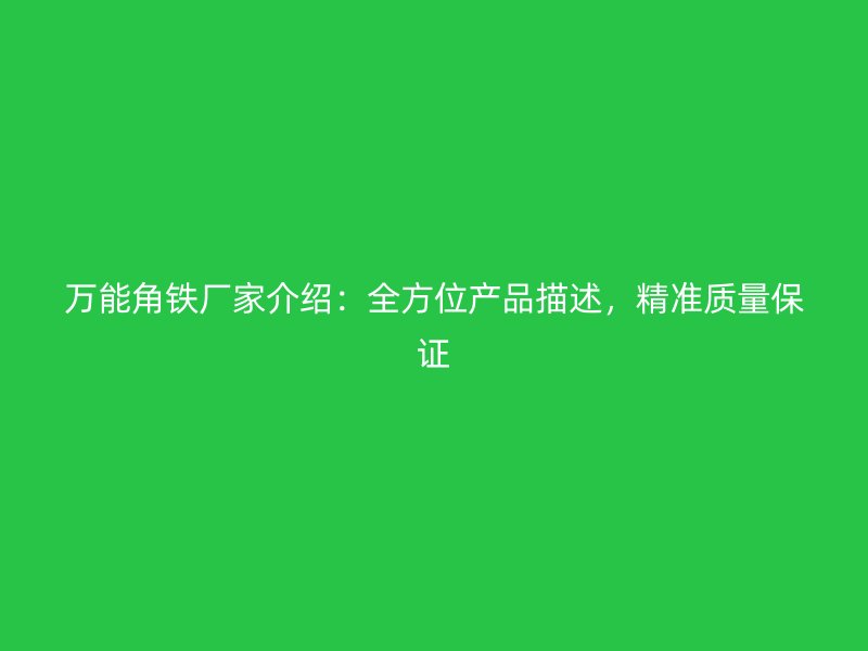 萬能角鐵廠家介紹：全方位產品描述，精準質量保證