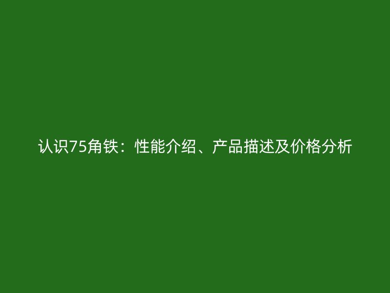 認識75角鐵：性能介紹、產品描述及價格分析